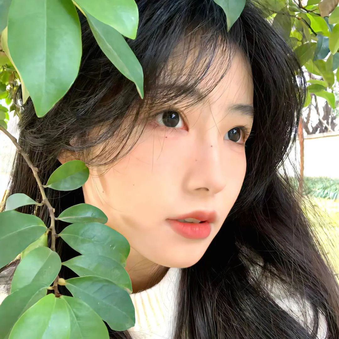 铆钉狂想曲